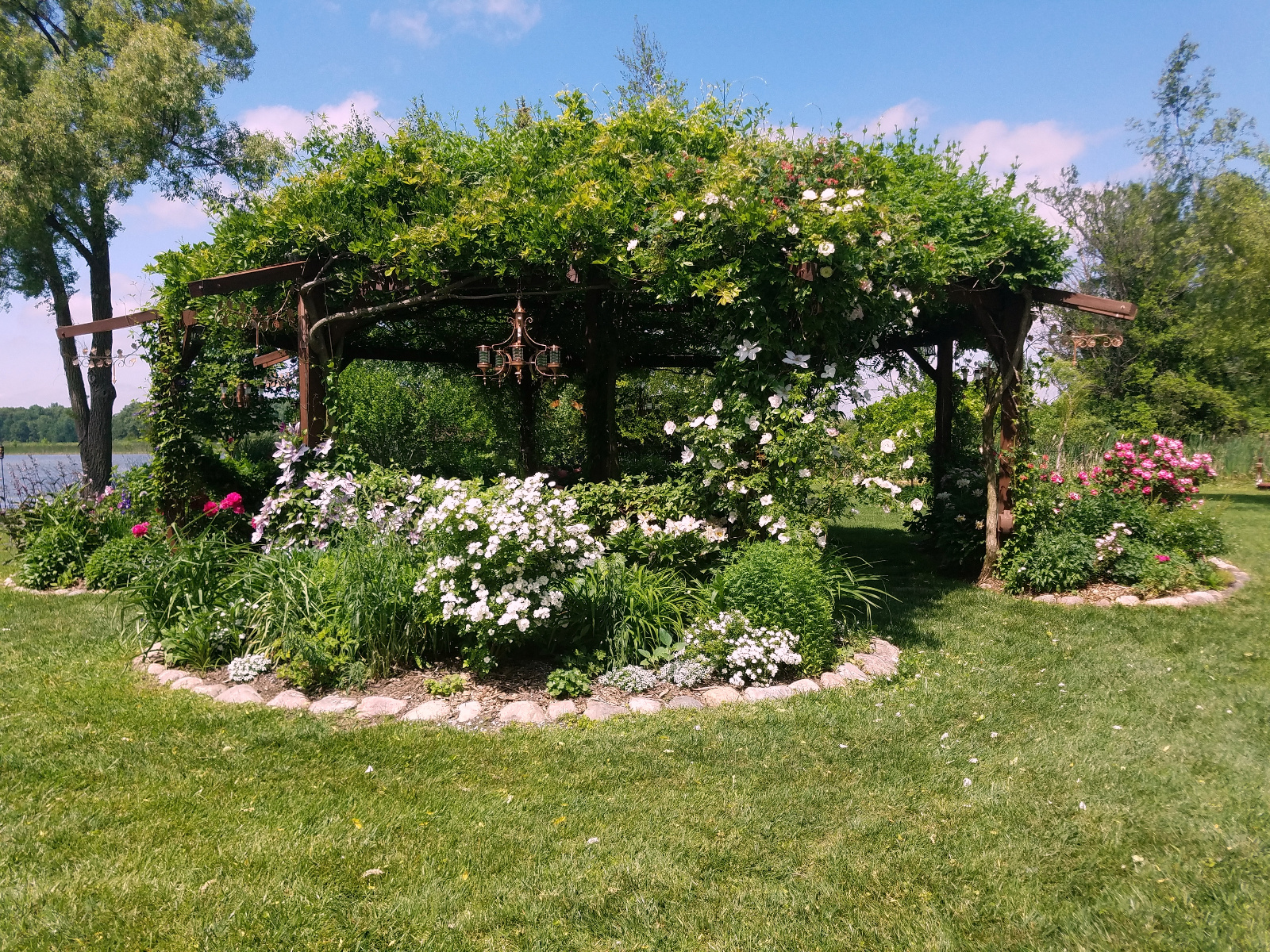 Canopy has red Honeysuckle in bloom with Climbing Rose and Clematis on post and Roses, Clematis and Geranium in bloosom in flowerbed